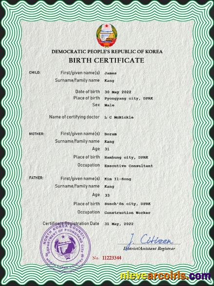 North Korea birth certificate